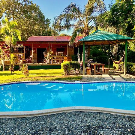 Uvita Oasis Retreat With Villa Cabins And Apartment Buitenkant foto