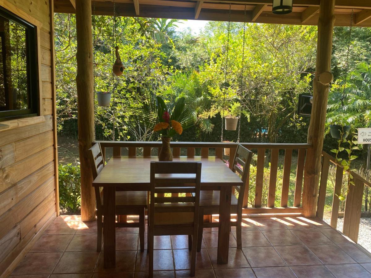 Uvita Oasis Retreat With Villa Cabins And Apartment Buitenkant foto