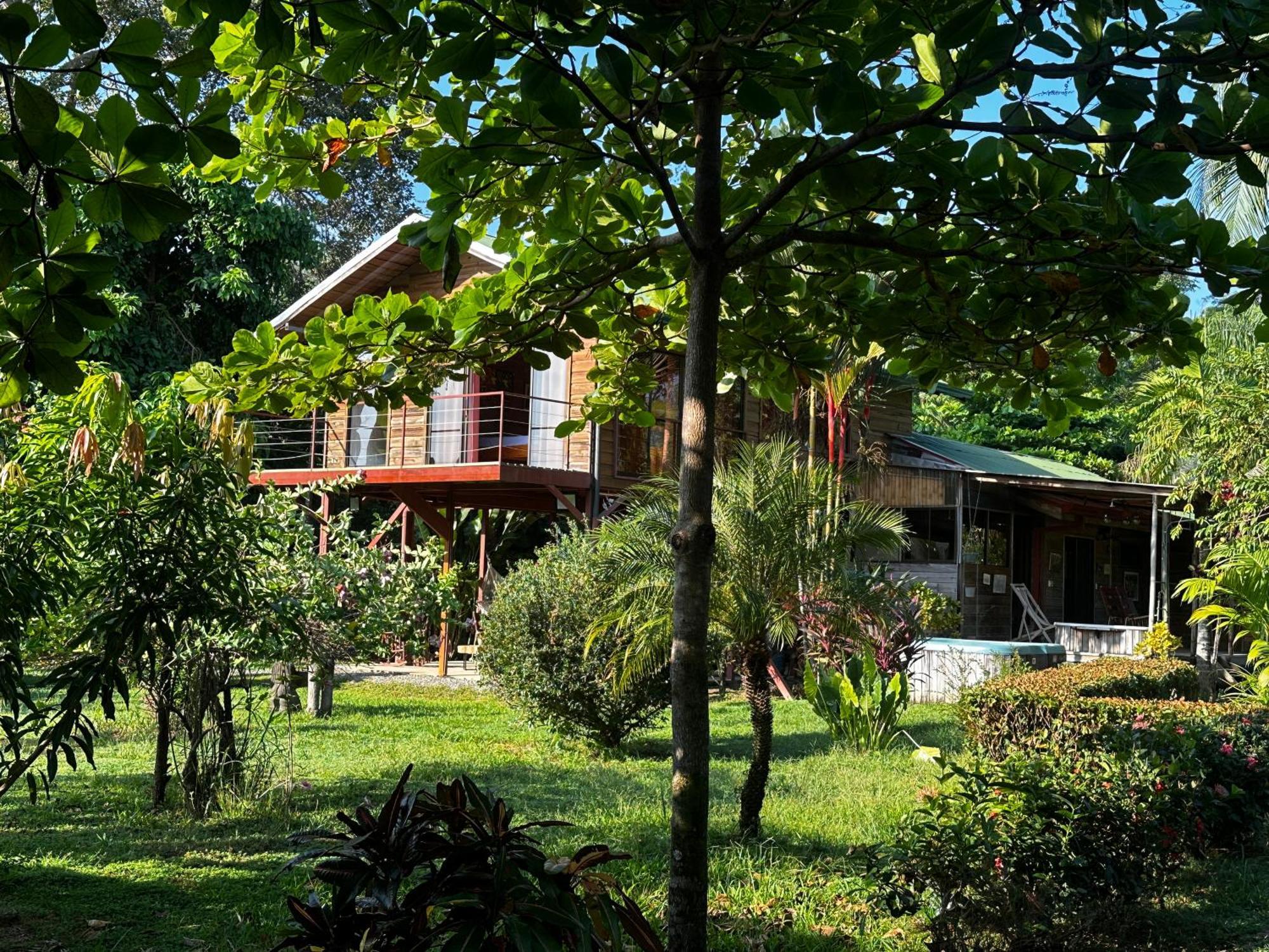 Uvita Oasis Retreat With Villa Cabins And Apartment Buitenkant foto