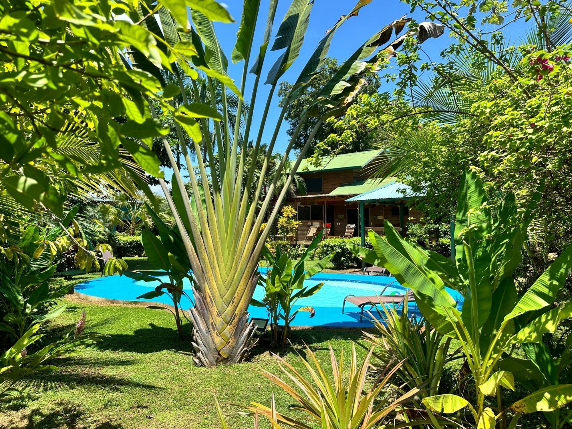 Uvita Oasis Retreat With Villa Cabins And Apartment Buitenkant foto