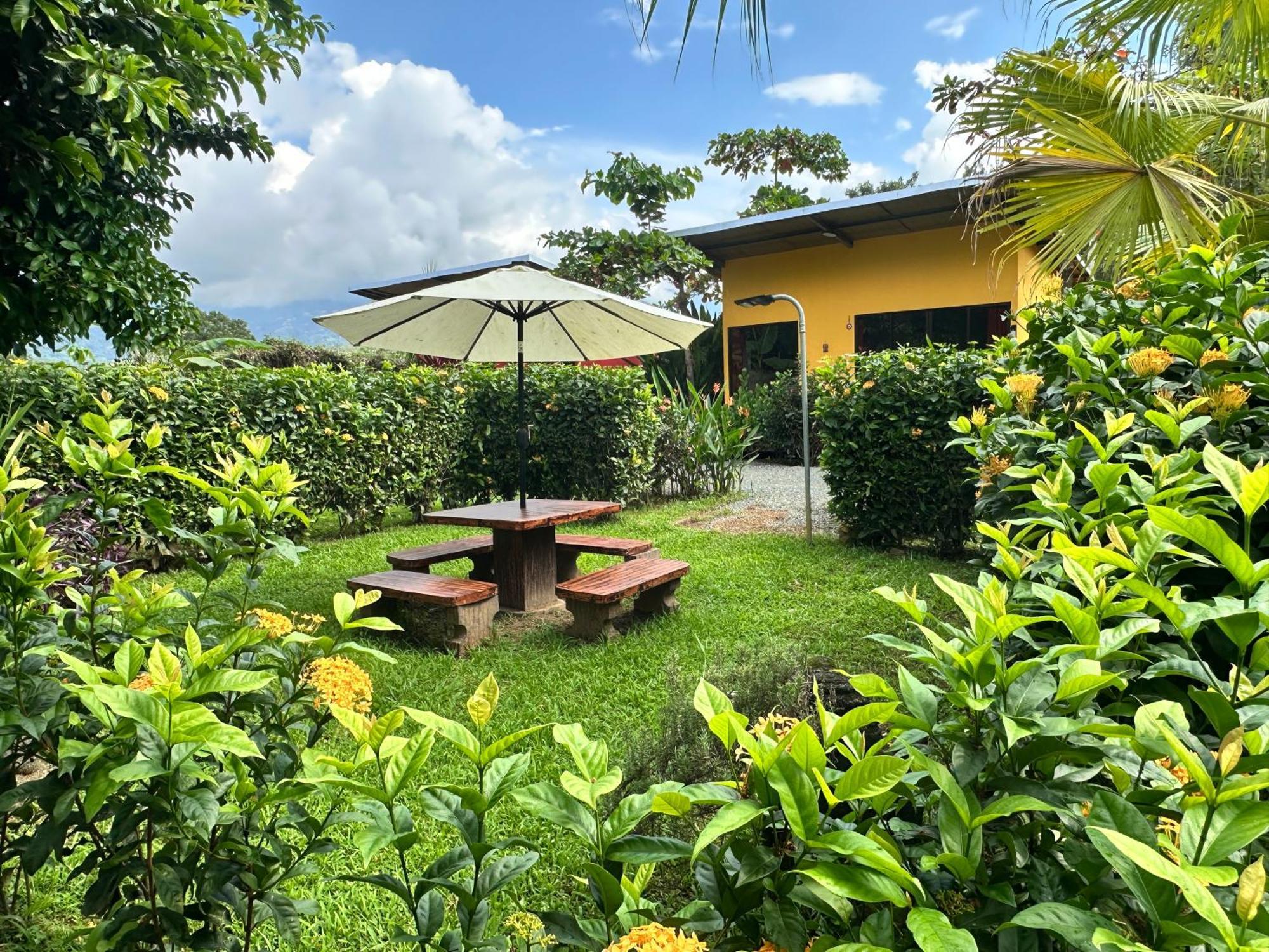 Uvita Oasis Retreat With Villa Cabins And Apartment Buitenkant foto