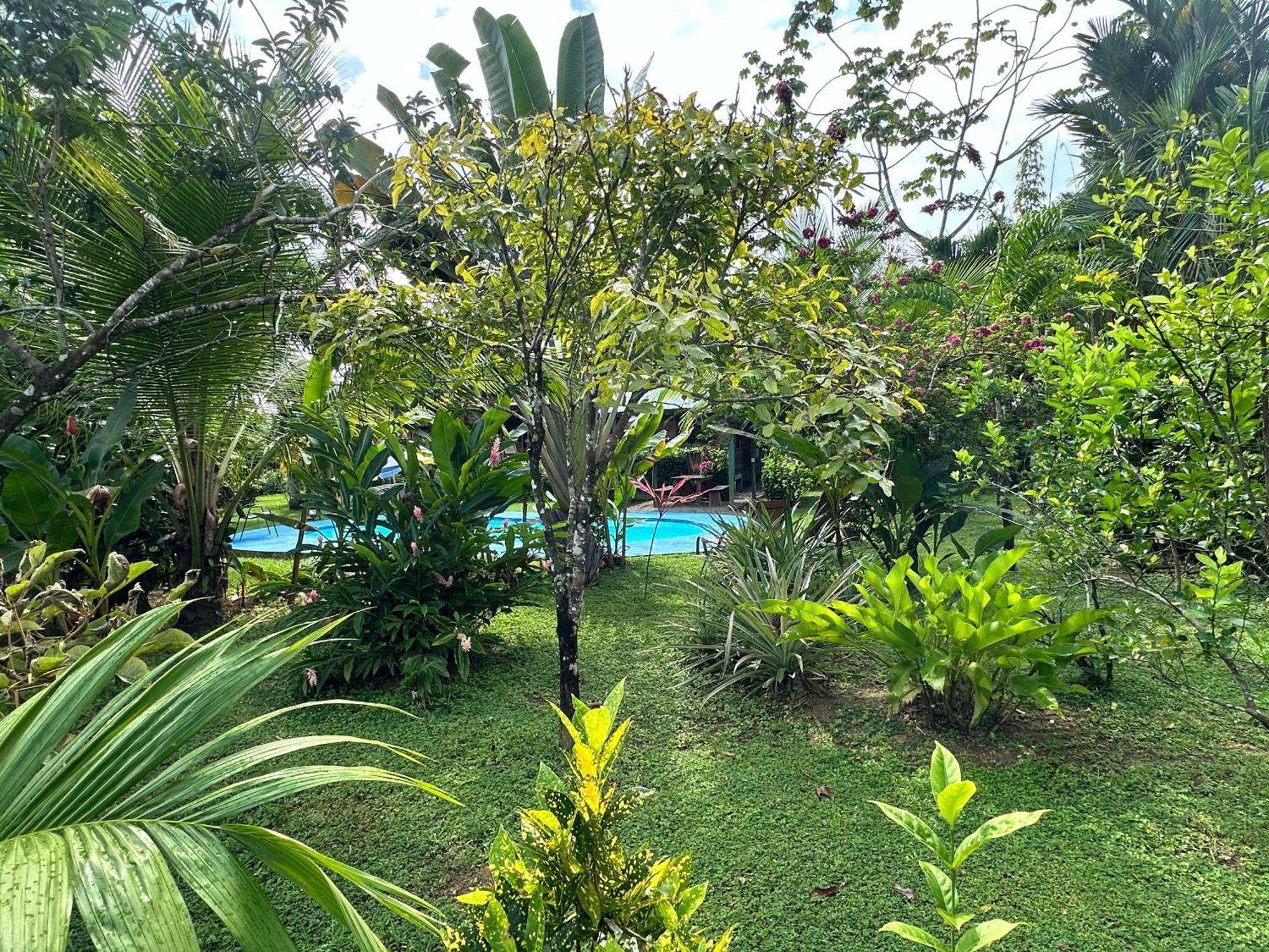 Uvita Oasis Retreat With Villa Cabins And Apartment Buitenkant foto